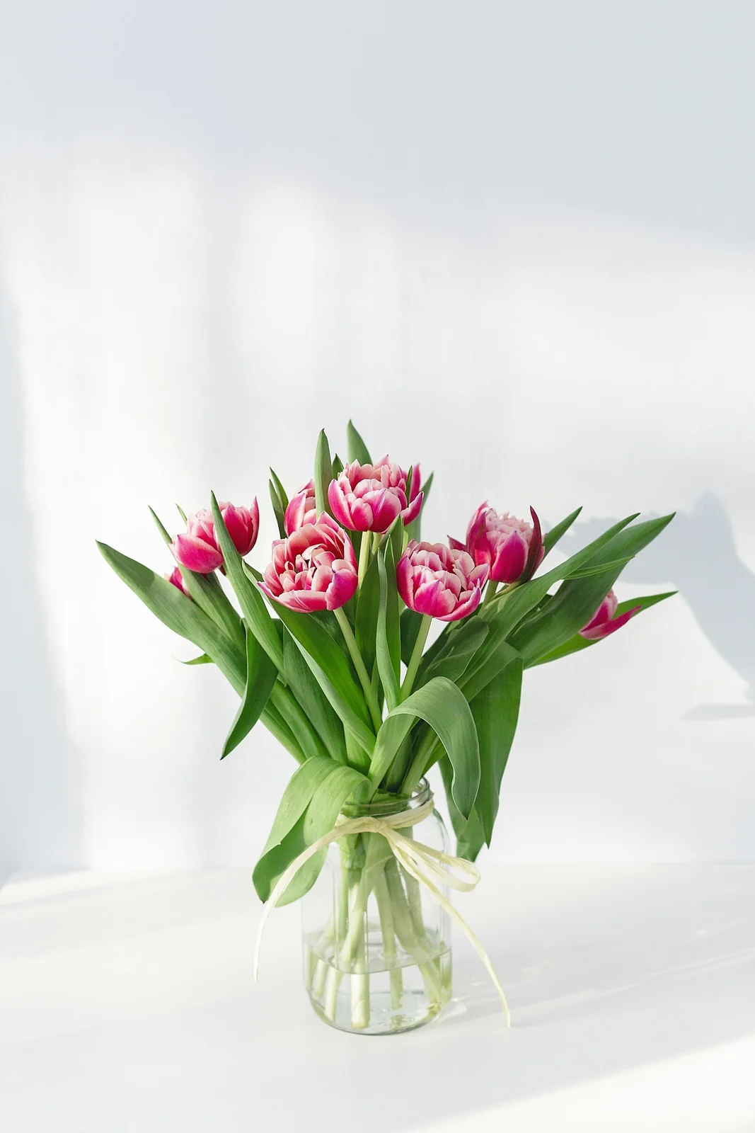 Pink flowers in bloom