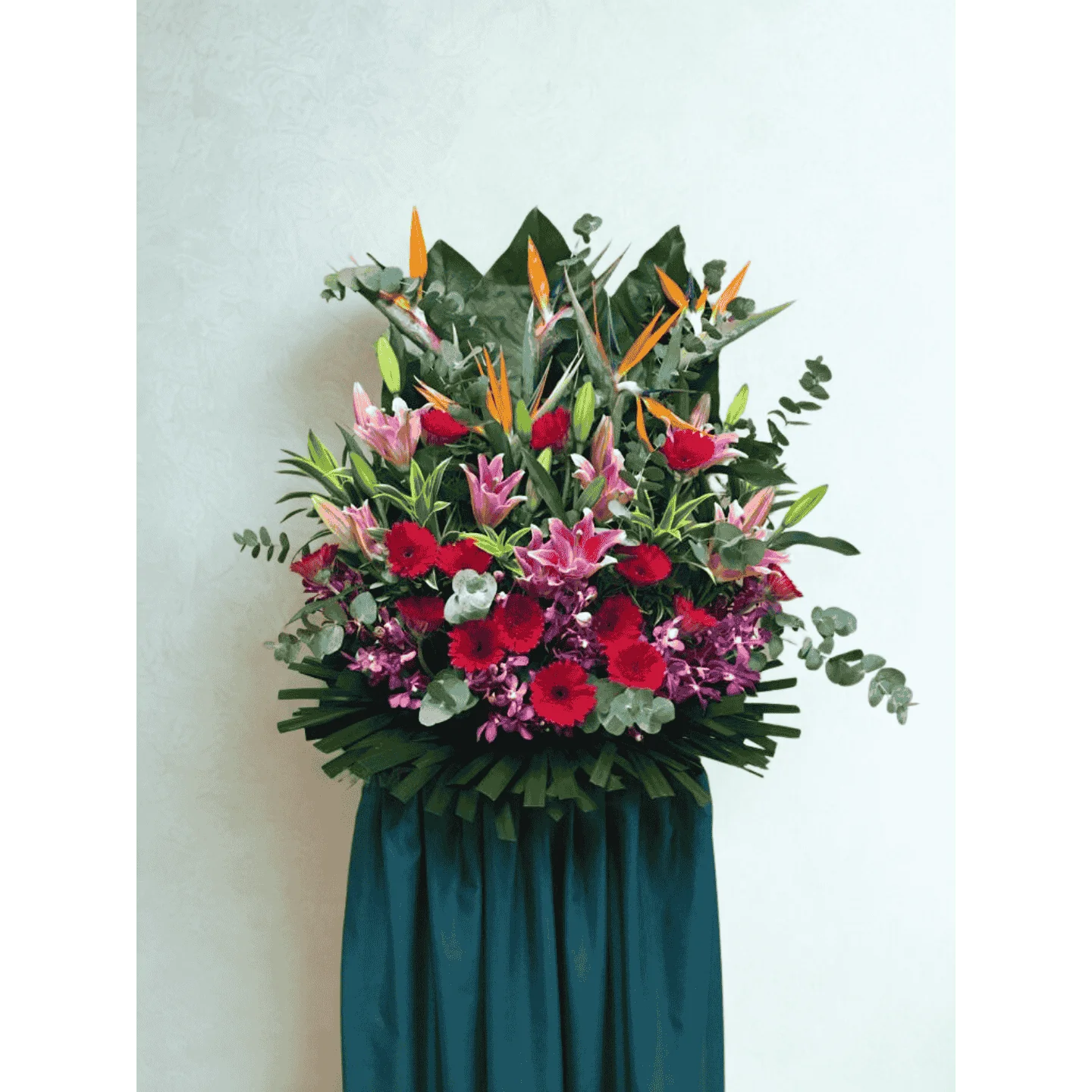 Bright congratulations